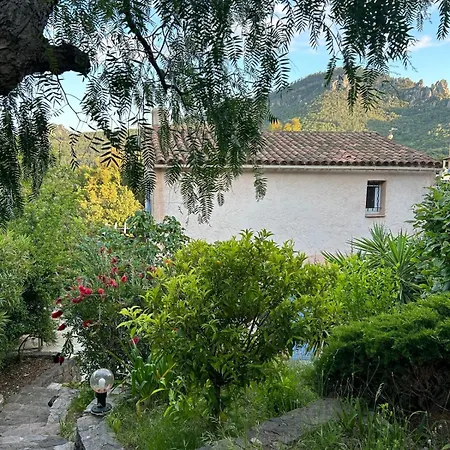 Villa Piscine Proche Plages Mandelieu-cannes