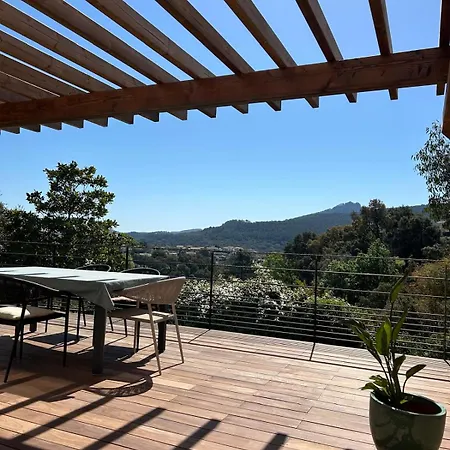 Piscine Proche Plages Mandelieu-cannes Villa