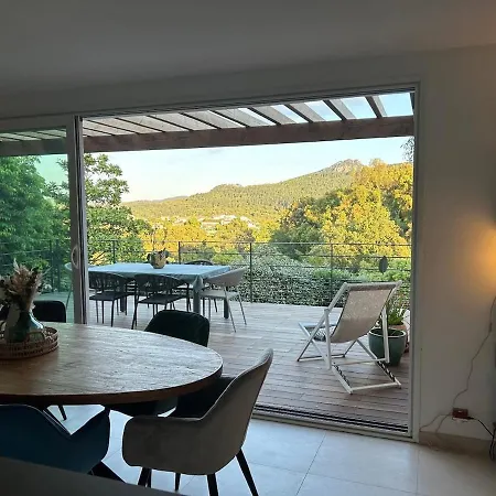 Villa Piscine Proche Plages Mandelieu-cannes Fréjus
